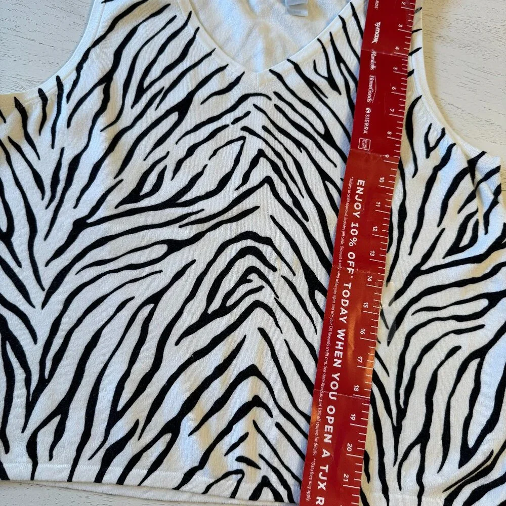 Zebra shell - Picture 2 of 4